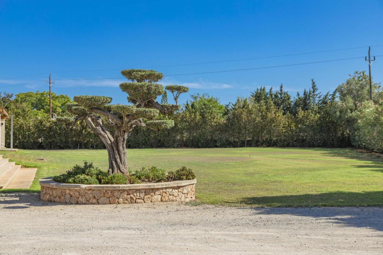 Villa Can Magnus Alcudia  Eksteriør billede